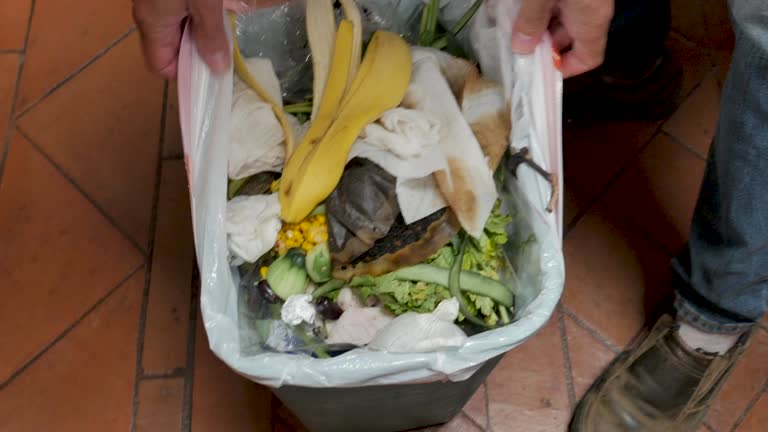 Best Commercial Junk Removal  in Smethport, PA
